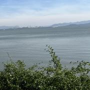 王二哥的硅基田的个人资料头像