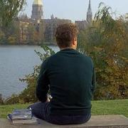 bulleit的个人资料头像