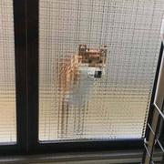 汉中门第一帅的个人资料头像