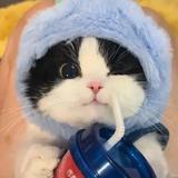 王玉星辰头像