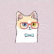 小七AI的个人资料头像