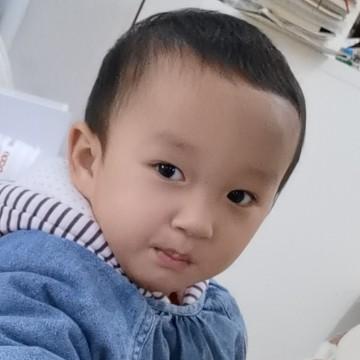 喜庆的枫叶DY头像