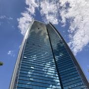 割草的小猪头的个人资料头像