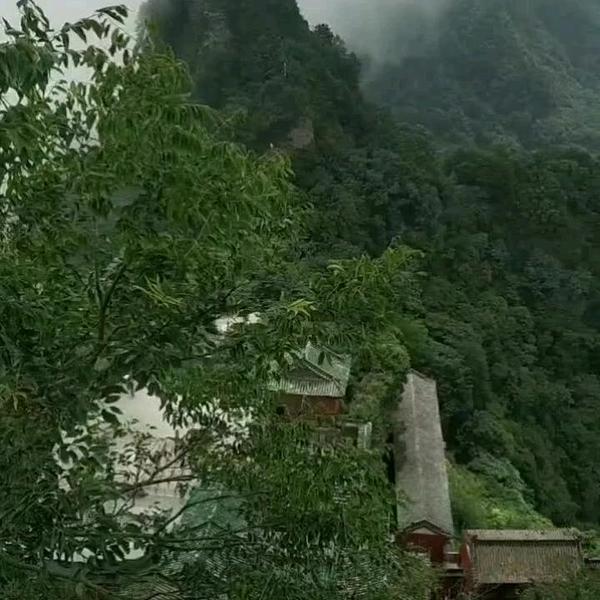 哈哈汽车说头像