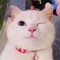时光的沙漏0头像