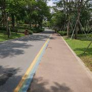 晴风509的个人资料头像