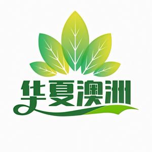 东东澳纪录片头像