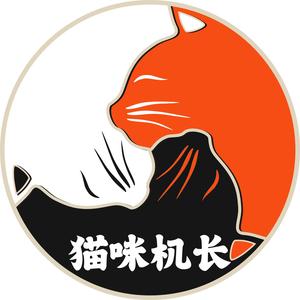 猫咪趣玩头像