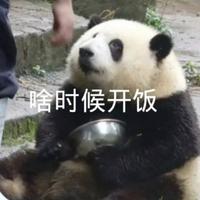 国阿铮头像