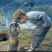 Joseph433的个人资料头像