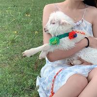 专做领克的小付头像