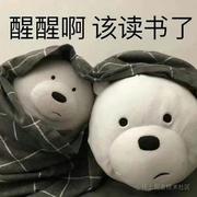 耐橙的个人资料头像