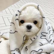 mo凡的个人资料头像