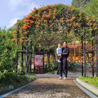 常年供应马尼拉草头像