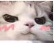 Bobo_的个人资料头像