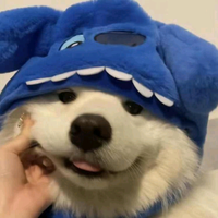 用户5421404867197头像