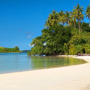 厚德载物137的个人资料头像