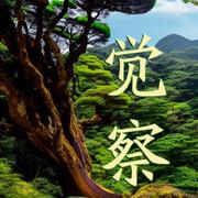 朴林的个人资料头像