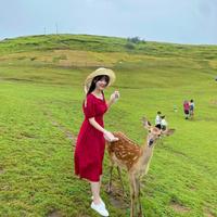 锦宏小师妹头像