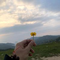 你丫的才是美工头像