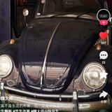 甲壳虫T911头像
