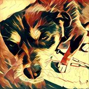 Jesper的个人资料头像