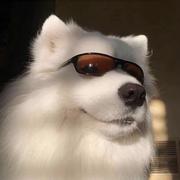 哇咔咔_sky的个人资料头像