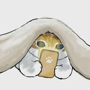 菜菜的菜123的个人资料头像