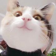 王牌飞行员申请出战的个人资料头像