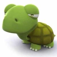 龟龟376头像