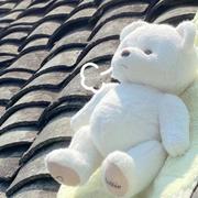 哎哎哎i的个人资料头像