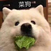 returnnull399的个人资料头像