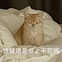 用户6246066190596头像