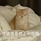 用户6246066190596头像