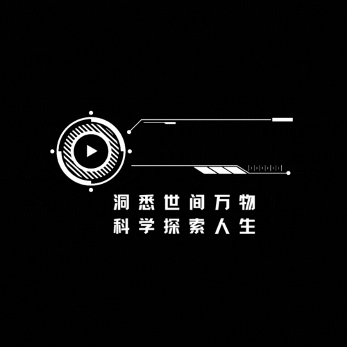 洞察者成诚头像