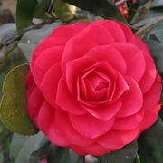 笑哈哈655的个人资料头像