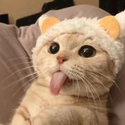 Otlioly的个人资料头像