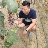差不多先生2935头像