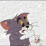 Tomato613的个人资料头像