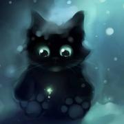 Nissen的个人资料头像