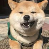 小郎不乖头像