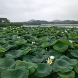 用户154129931029头像