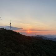 加油115的个人资料头像