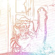 awahzh的个人资料头像