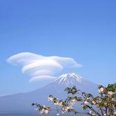 许可751头像
