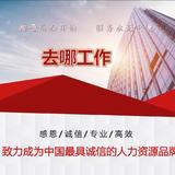 我真的好笨哦头像