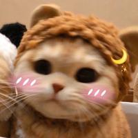 不还是错过了吗头像