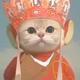 灿烂熊猫Wu9头像