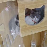 找车位ing头像