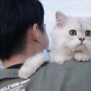 柠栀_的个人资料头像